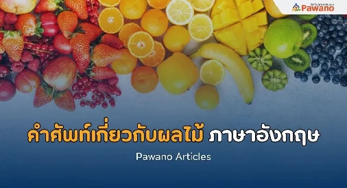 คำศัพท์ภาษาอังกฤษ หมวดผลไม้>